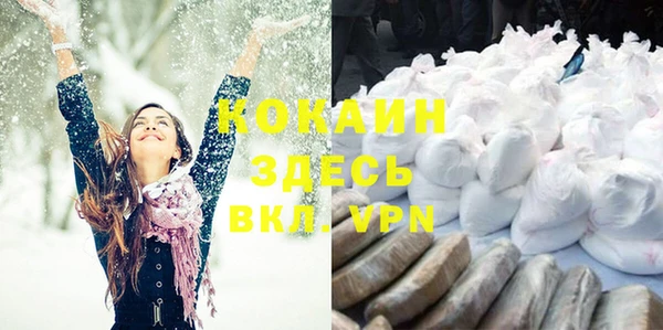 прущая мука Инсар