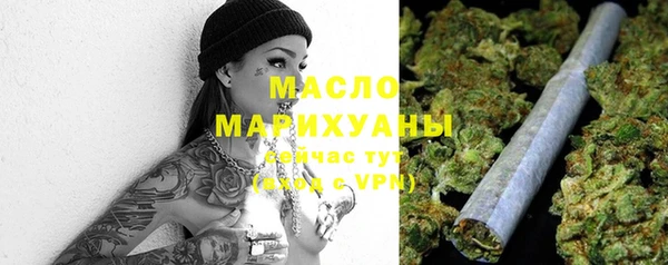 хмурый Каменка