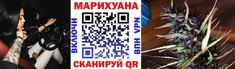 Купить где  Новозыбков  Марихуана OG Kush 