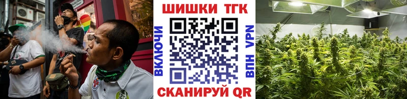 Марихуана OG Kush Новозыбков